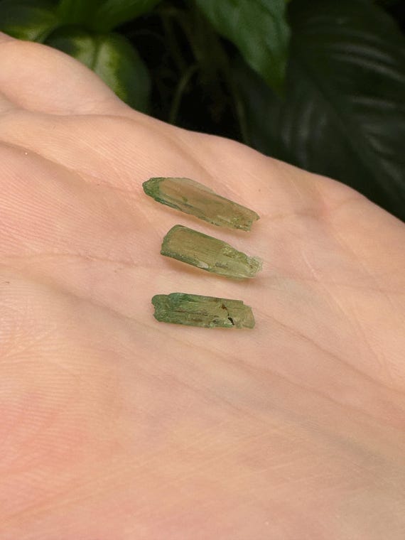 Rare Chromium Green North Carolina Hiddenite Crystal Parcel~Crystalline Dream Minerals