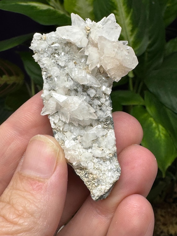 Dogtooth Calcite Cluster~Ledford’s Minerals