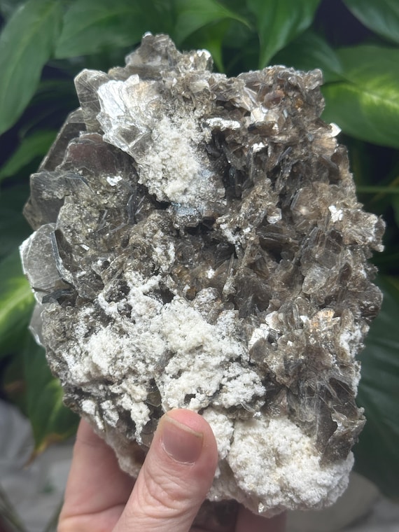 Green Mica and Albite~Hiddenite, NC~Ex Terry Ledford Collection~Ledford’s Minerals