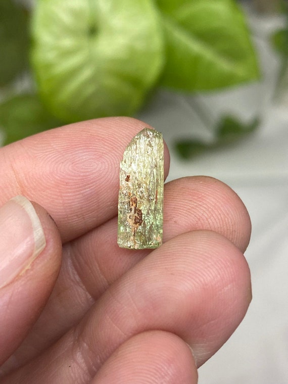 Rare Chromium Green North Carolina Hiddenite Crystal