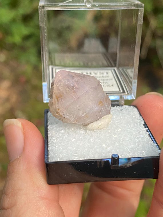 Vibrant Lilac Cabarrus County North Carolina Amethyst Thumbnail