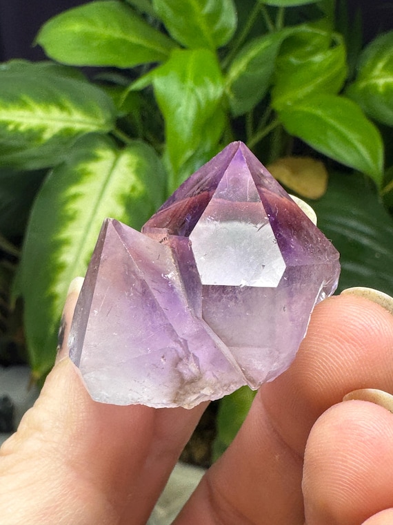 Amethyst Cluster~Jackson's Crossroads Amethyst Mine~Wilkes County Georgia~Crystalline Dream Minerals~Ledfords Minerals