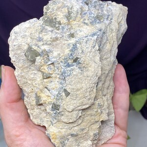 Old Collection Pyrite in Pyrophyllite Moore county North Carolina
