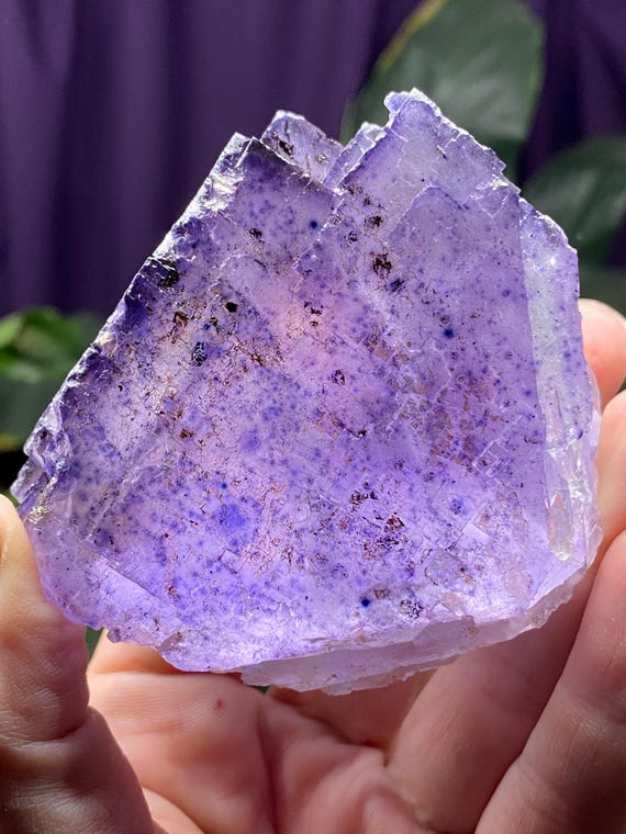Denton Mine Illinois Fluorite with Pyrite