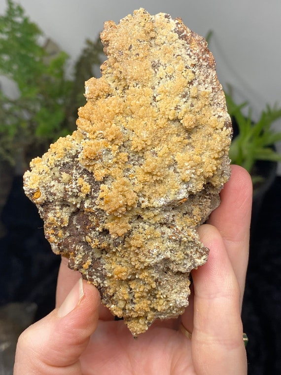 Adamite