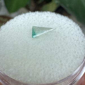 May include: A small, triangular, translucent gemstone with a light teal color. The gem is set on a white, textured surface inside a clear container. The background is blurred, with green foliage visible.