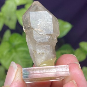 Hallelujah Junction Nevada Smoky Quartz Scepter