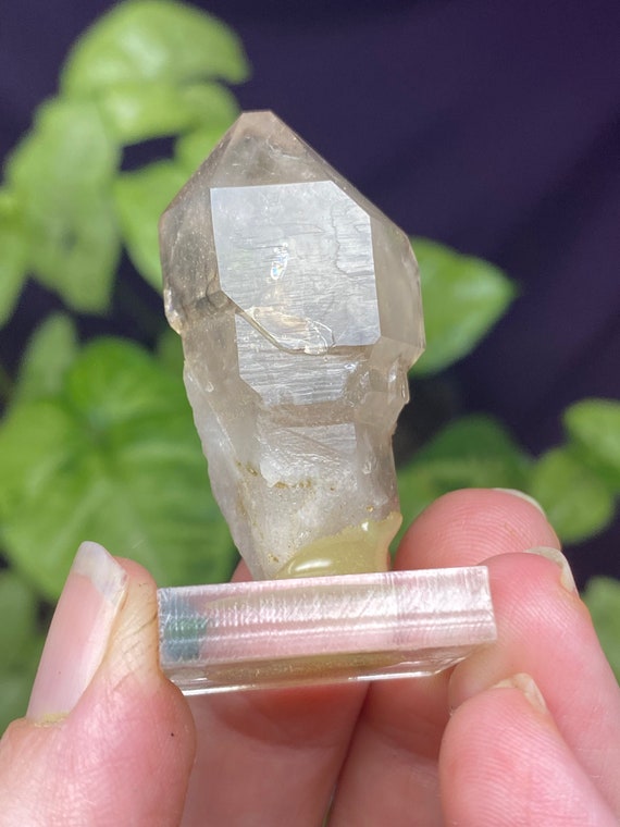 Hallelujah Junction Nevada Smoky Quartz Scepter