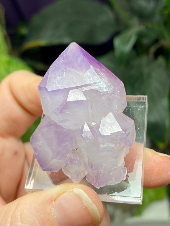 Lilac Jackson’s Crossroads Amethyst Cluster