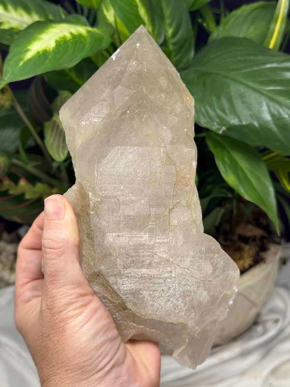 Beautiful North Carolina Quartz Cluster with Mica~Ex Terry Ledford collection~Ledford’s Minerals