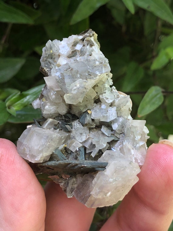 Calcite with Muscovite