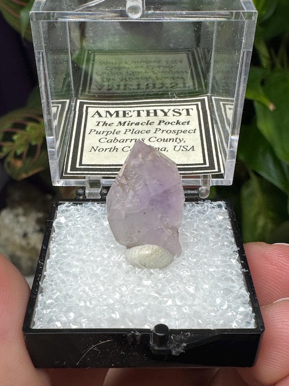 Vibrant Lilac Cabarrus County North Carolina Amethyst Thumbnail~Ledford’s Minerals