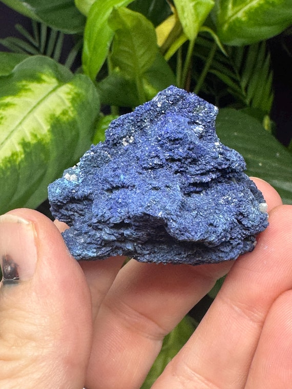 Azurite~Tsumeb~Old Collection~CrystallineDreamMinerals~Ledfords Minerals