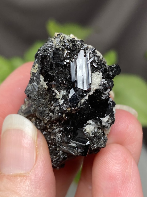 North Carolina Tourmaline with Albite