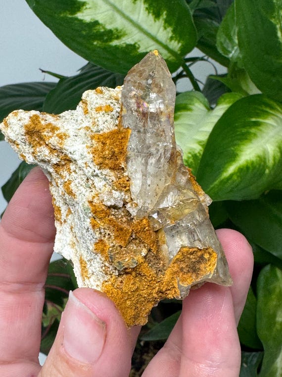 Beautiful North Carolina Quartz Cluster on matrix~Ex Terry Ledford collection~Ledford’s Minerals