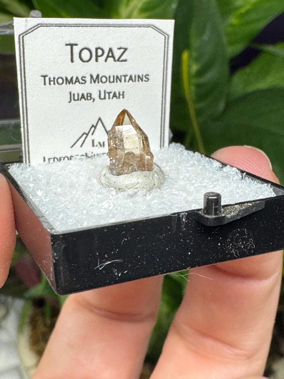 Topaz~Thomas Mountains Utah~Ledford’s Minerals