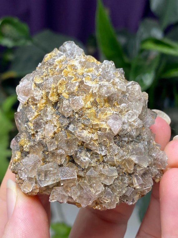 Diana Maria Fluorite on Matrix