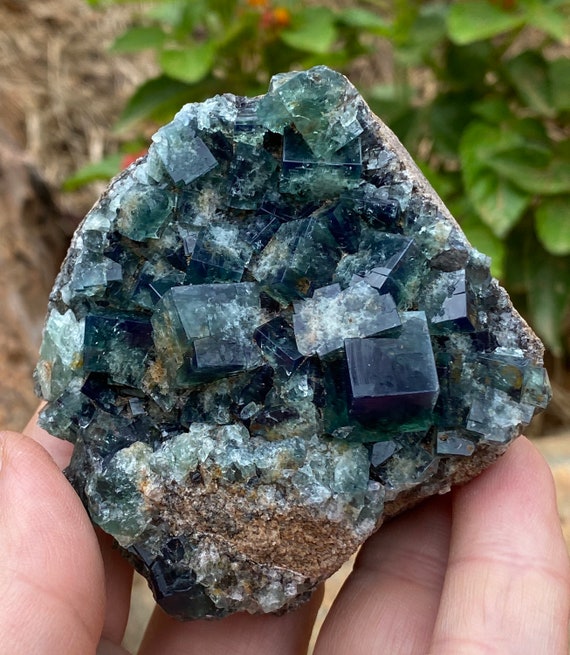 Diana Maria Fluorite