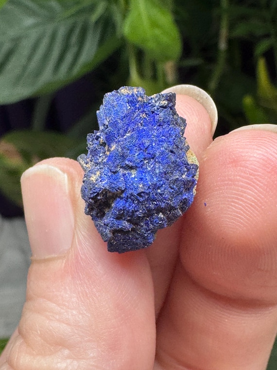 Azurite~Socalo Mine~Zacatas, Mexico~Nature Made Goods~Ledford’s Minerals