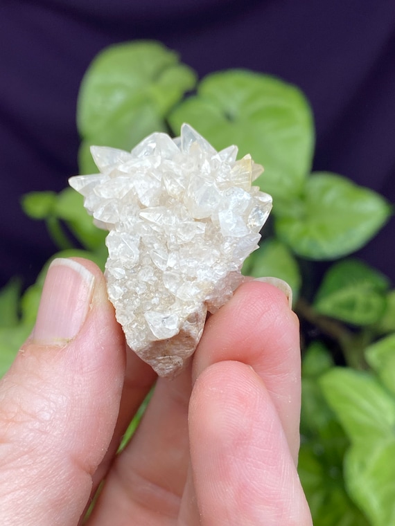 RARE Woodlawn Quarry NC Calcite Cluster