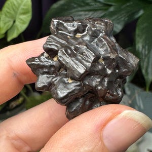 Pedras da Profecia Egípcia ~ Marcasita e Pirita Pseudomorfa Limonita ~ Minerais de Ledford