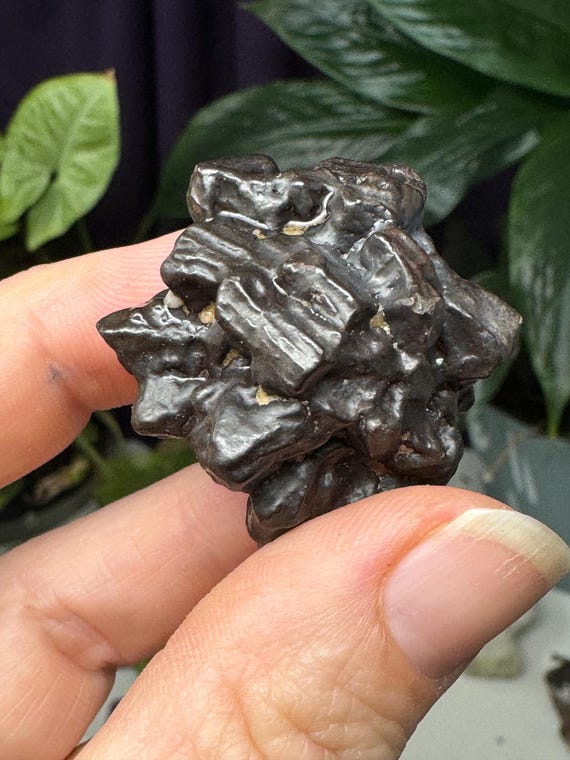 Egyptian Prophecy Stones~Marcasite and Pyrite Pseudomorph Limonite~Ledford’s Minerals