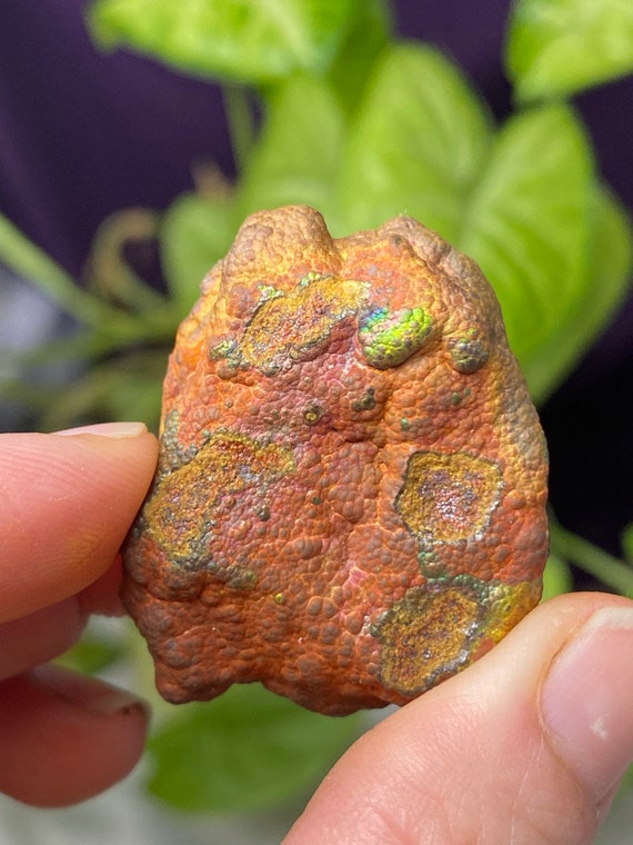 RARE North Carolina Crowder’s Mountain Iridescent Hematite
