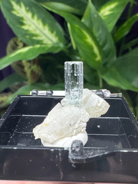 Aquamarine with Feldspar Thumbnail~Pakistan~Ledford’s Minerals