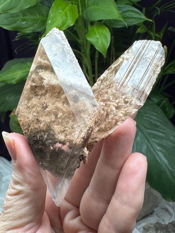 Bermejillo Selenite~Durango, Mexico~Ledford’s Minerals