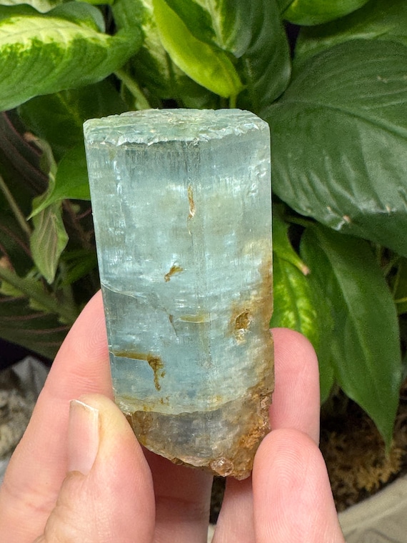 Large Aquamarine var Beryl Crystal~Erongo~Nature Made Goods~Ledford’s Minerals