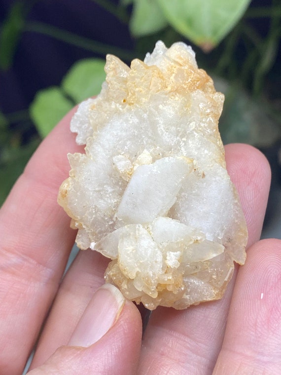 Etched Kentucky Dogtooth Calcite Cluster