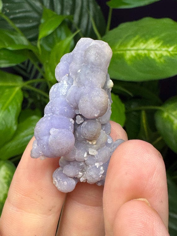 Purple Grape Agate~Indonesia ~Crystalline Dream Minerals~Ledford’s Minerals