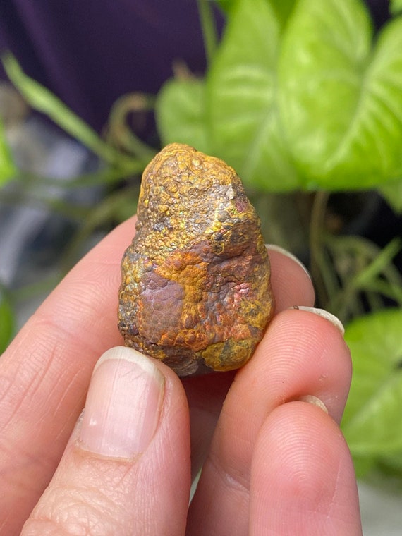 RARE North Carolina Crowder’s Mountain Iridescent Hematite