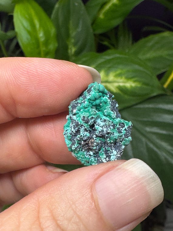 Chrysocolla~The Planet Mine~Arizona~Nature Made Goods~Ledford’s Minerals