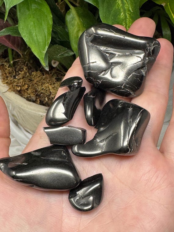 Tumbled Elite Colombian Shungite~Ledford’s Minerals