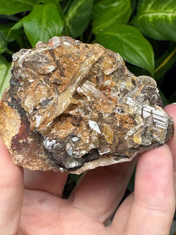 Barite~McCormick, South Carolina~CrystallineDreamMin~Ledord's Minerals