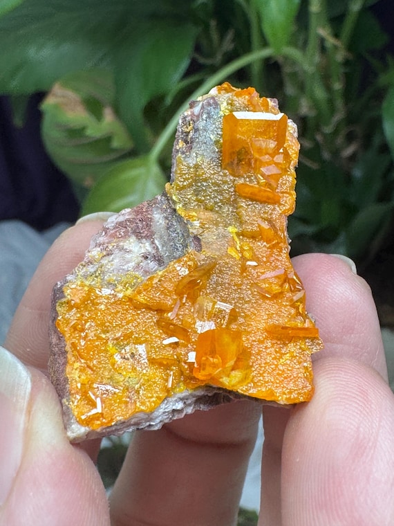 Vibrant Orange Wulfenite Cluster~Rowley Mine ~Painted Rock Mining District, AZ~Ledford’s Minerals