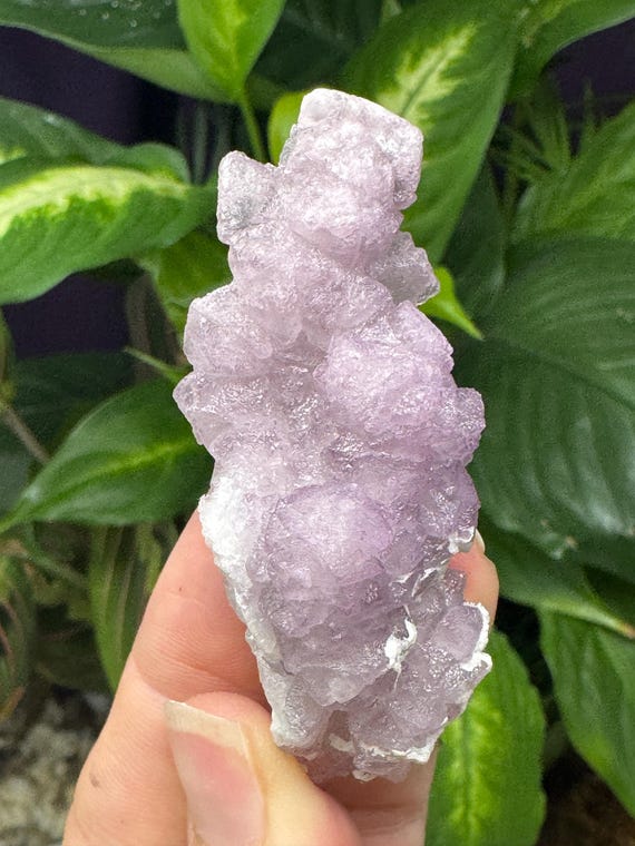 Purple Tetrahedral Fluorite La Fluorita Dulcita~Tombstone Arizona~Ledford's Minerals