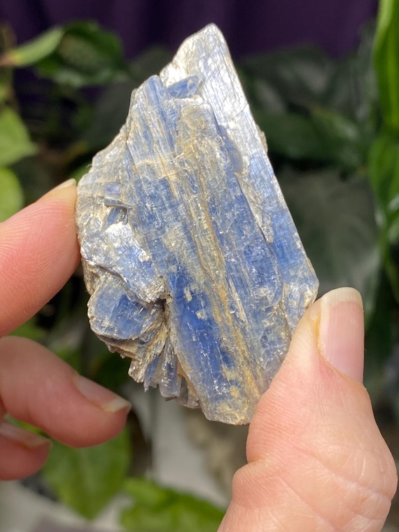 Lustrous North Carolina Kyanite Blade Cluster Ex Terry Ledford