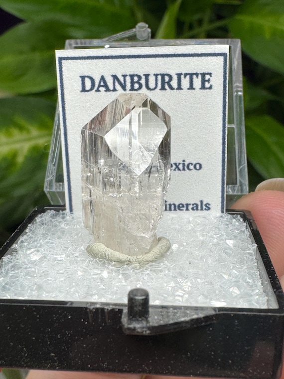 Danburite~Charcus Mexico~Crystalline Dream Minerals~Ledfords Minerals