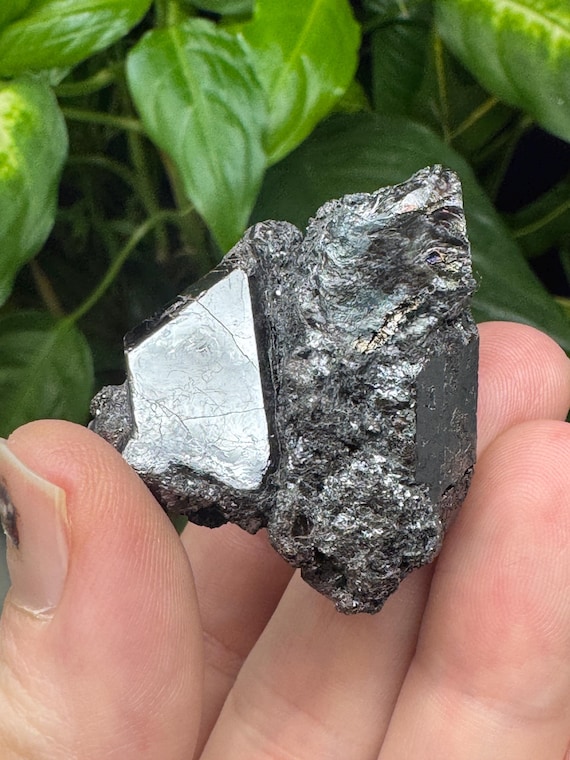 Rutile Cluster~Graves Mountain, GA~ Ex Terry Ledford Collection~Crystalline Dream Minerals
