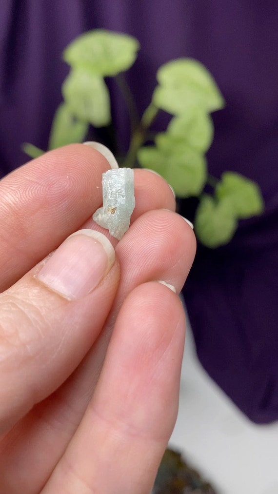 North Carolina Beryl var. Aquamarine