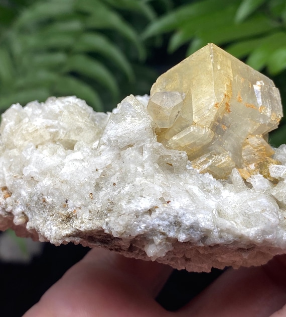 Siderite and Calcite on Albite~NAEM-North Carolina~Ex Terry Ledford collection
