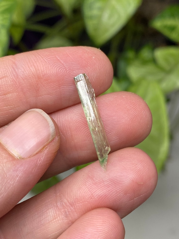 Rare Chromium Green North Carolina Hiddenite Crystal