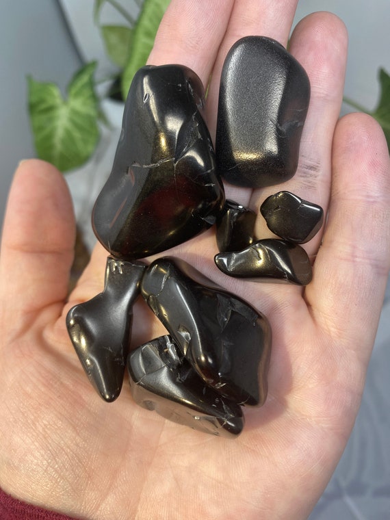 Tumbled Elite Colombian Shungite