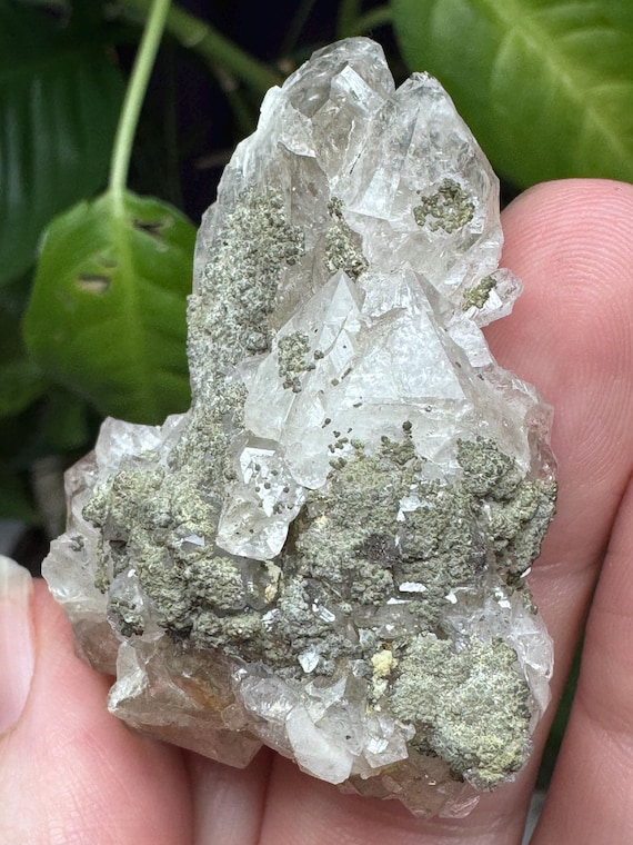 Quartz cluster~NAEM~Hiddenite, North Carolina~Ledford’s Minerals