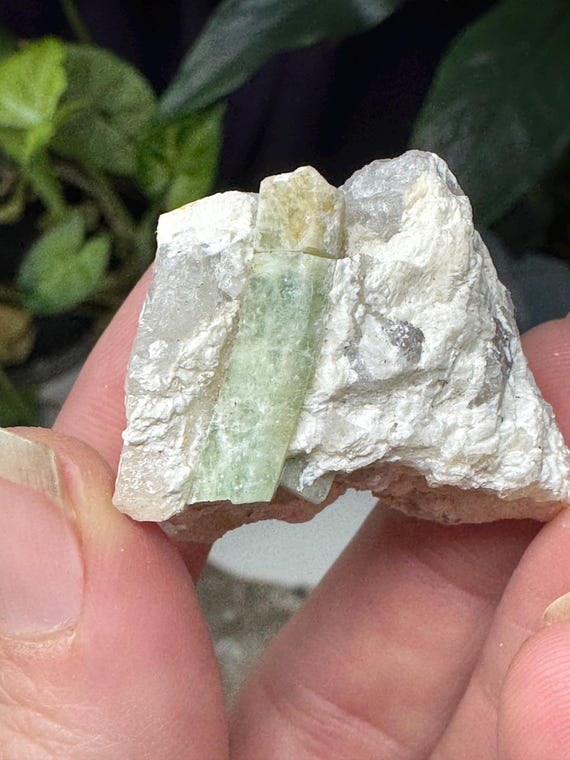 Green Beryl ~North Carolina Crabtree Emerald Mine~Ex Terry Ledford Collection~Ledford’s Minerals