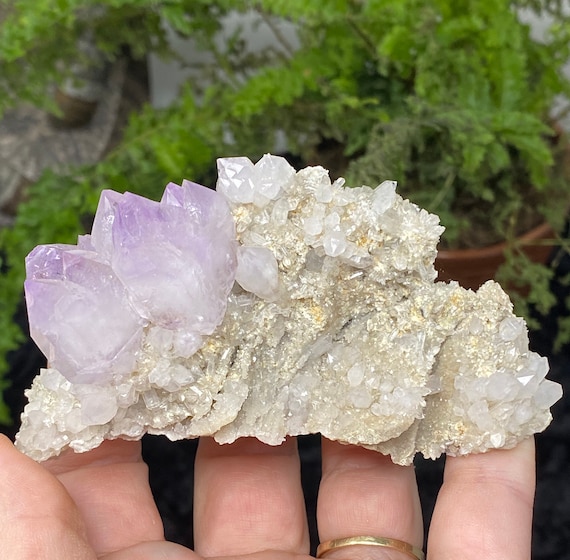 Amethyst Cluster