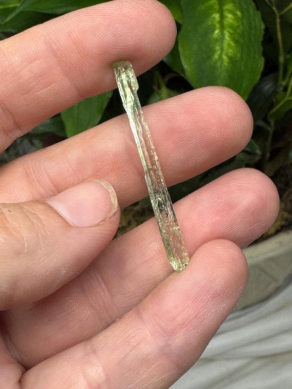 Rare North Carolina Hiddenite Crystal~Ex Terry Ledford Collection~Ledford’s Minerals