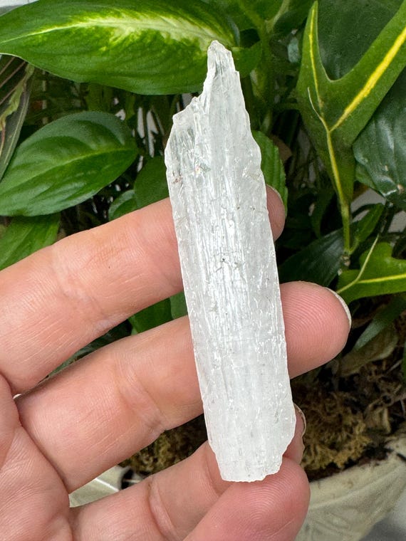 Scolecite~India~Ledford’s Minerals